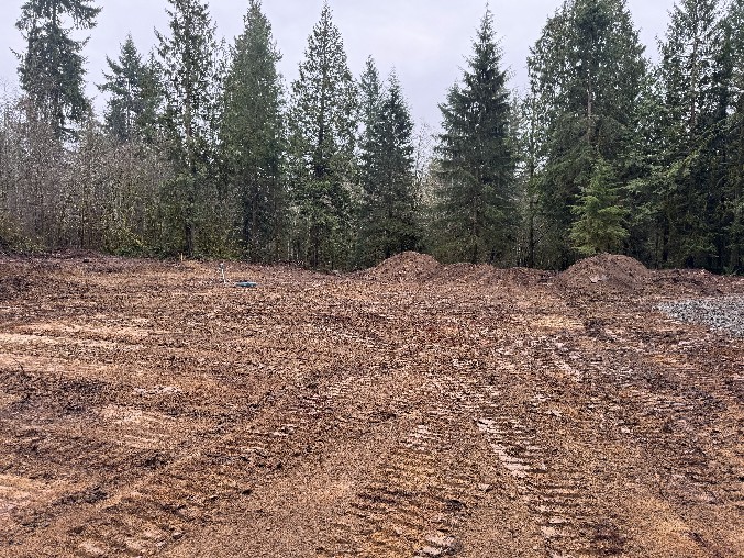Land Clearing/Grading