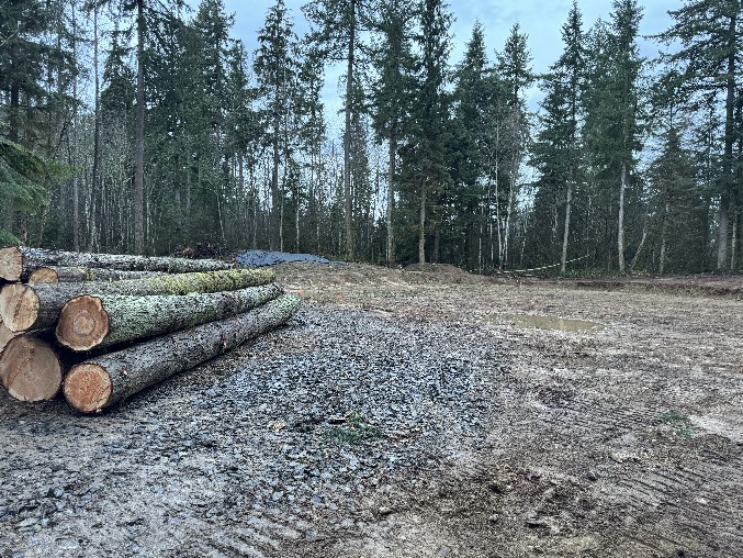 Land Clearing/Grading