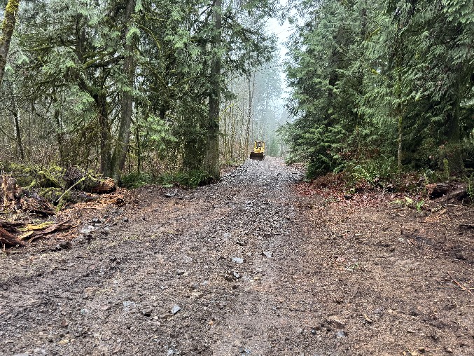 Land Clearing/Grading