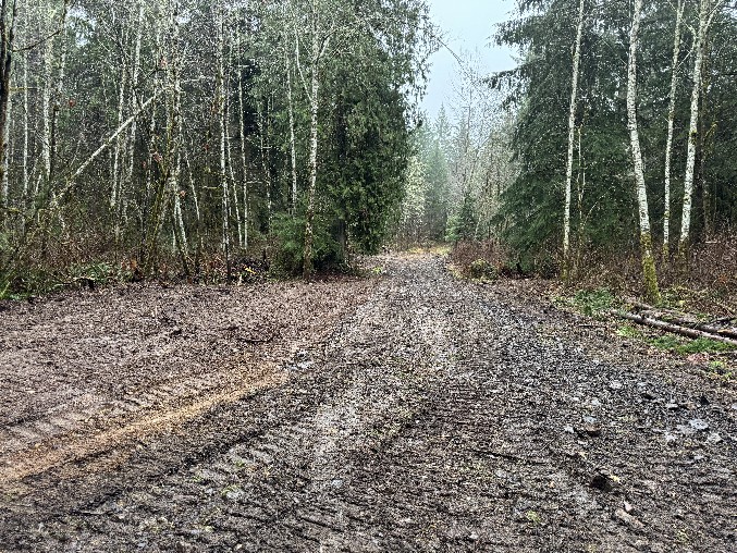 Land Clearing/Grading