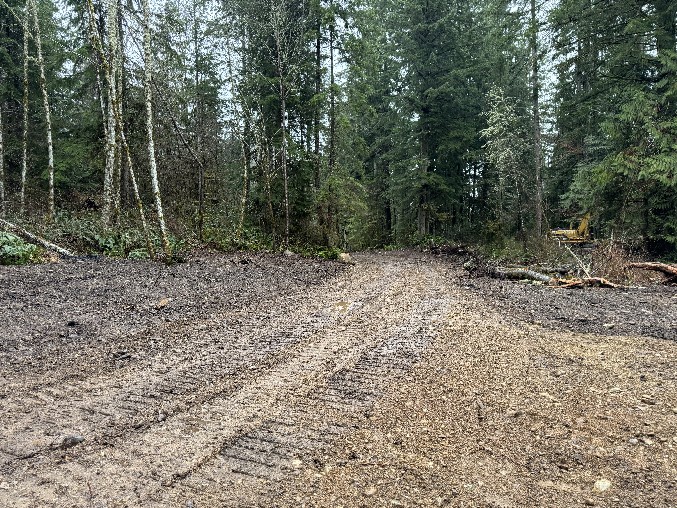 Land Clearing/Grading