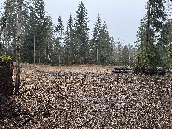 Land Clearing/Grading