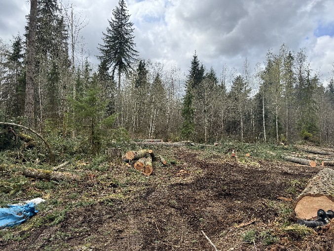 Land Clearing/Grading
