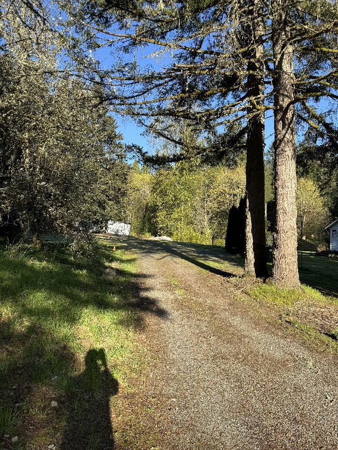 Driveways/Private Roads