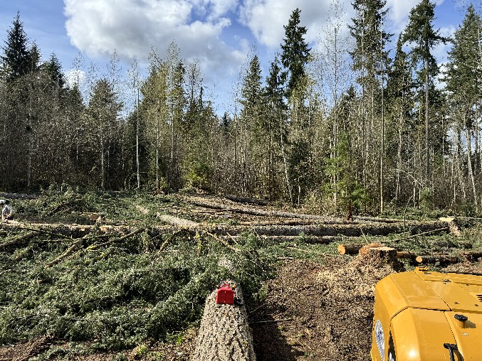 Land Clearing/Grading