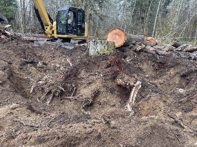 Excavation