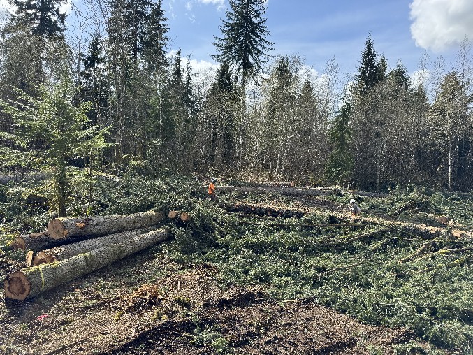 Land Clearing/Grading