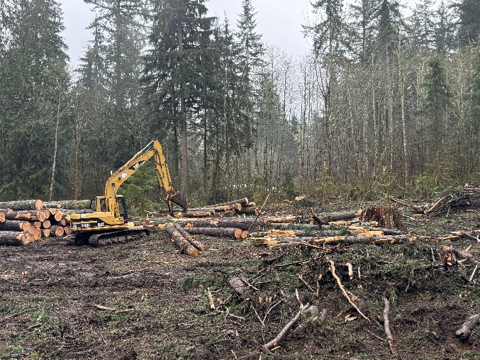 Land Clearing/Grading