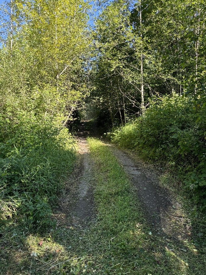 Driveways/Private Roads
