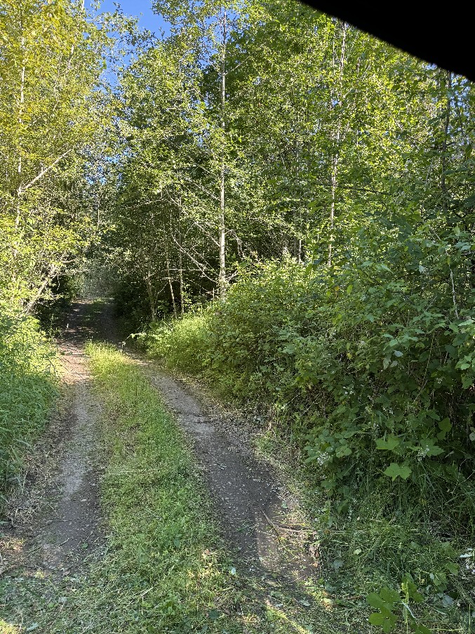 Driveways/Private Roads