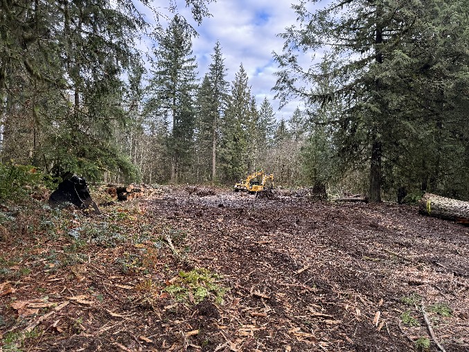 Land Clearing/Grading