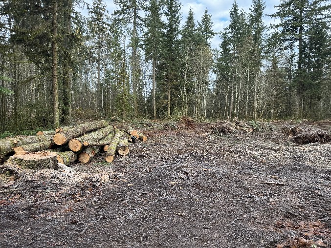 Land Clearing/Grading