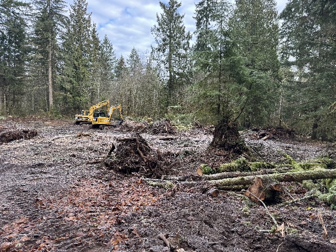 Land Clearing/Grading