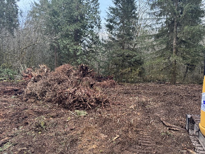 Land Clearing/Grading