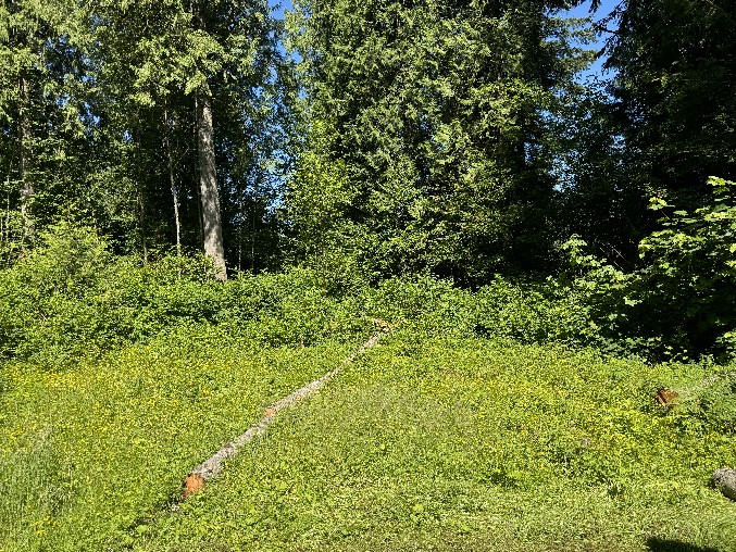 Land Clearing/Grading