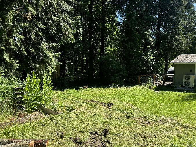 Land Clearing/Grading