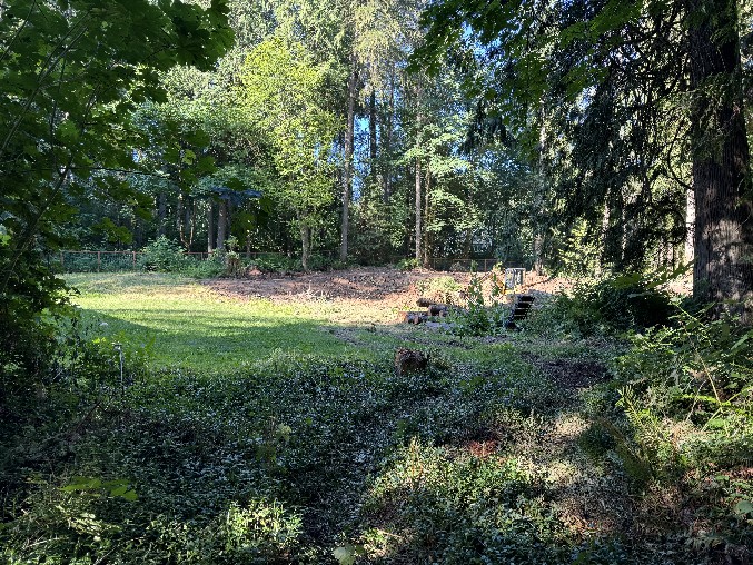 Land Clearing/Grading