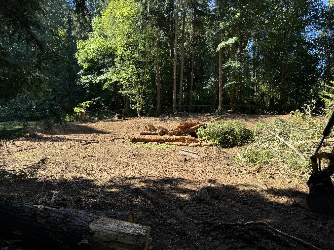 Land Clearing/Grading