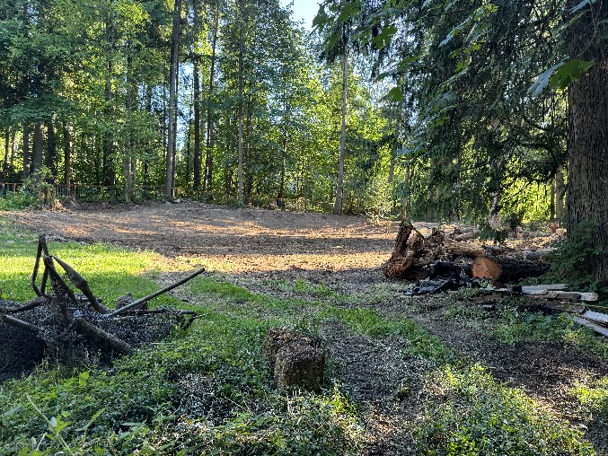 Land Clearing/Grading