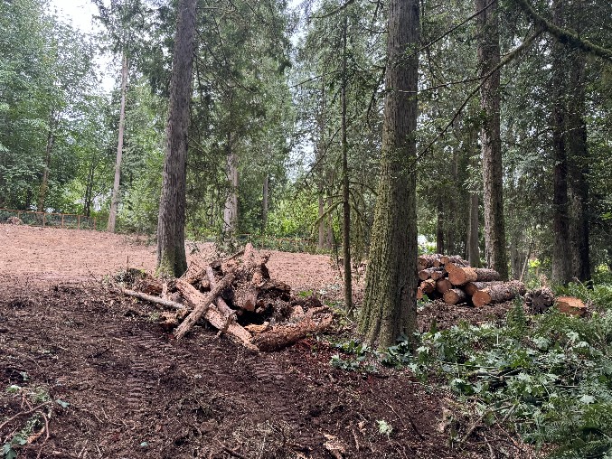 Land Clearing/Grading
