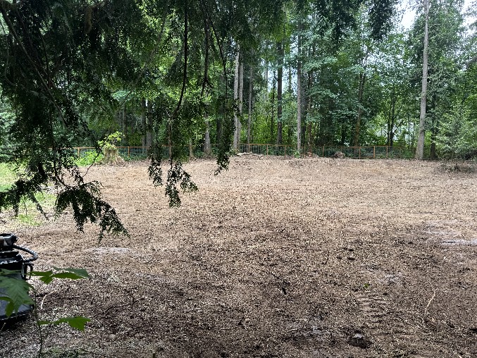 Land Clearing/Grading