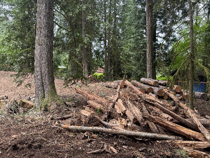 Land Clearning/Grading