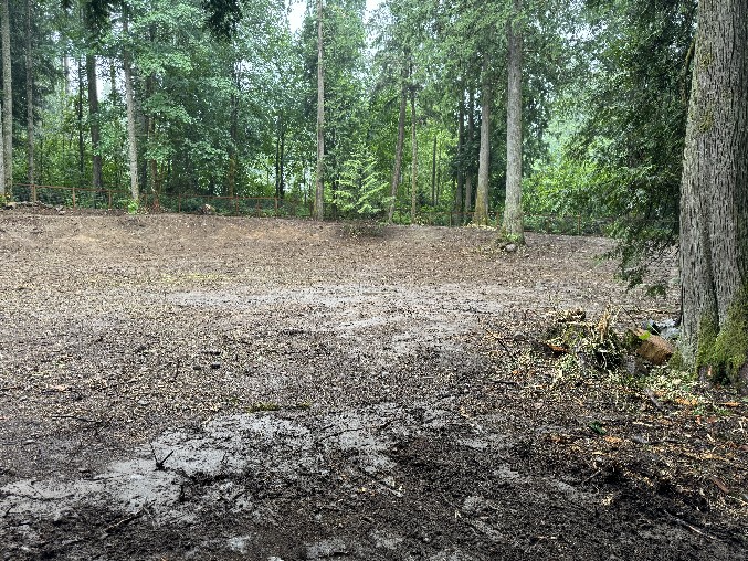 Land Clearning/Grading