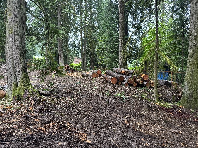 Land Clearning/Grading