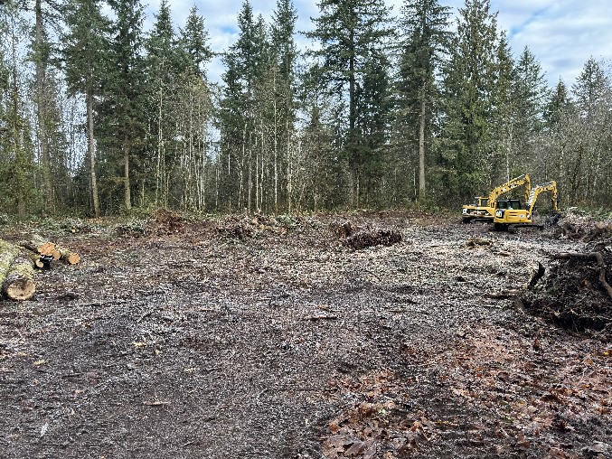 Land Clearing/Grading
