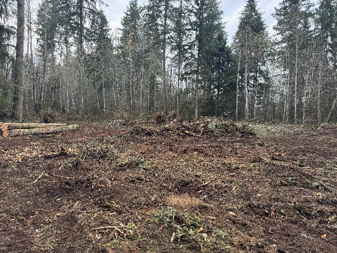 Land Clearing/Grading