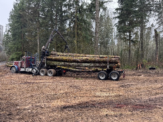 Land Clearing/Grading