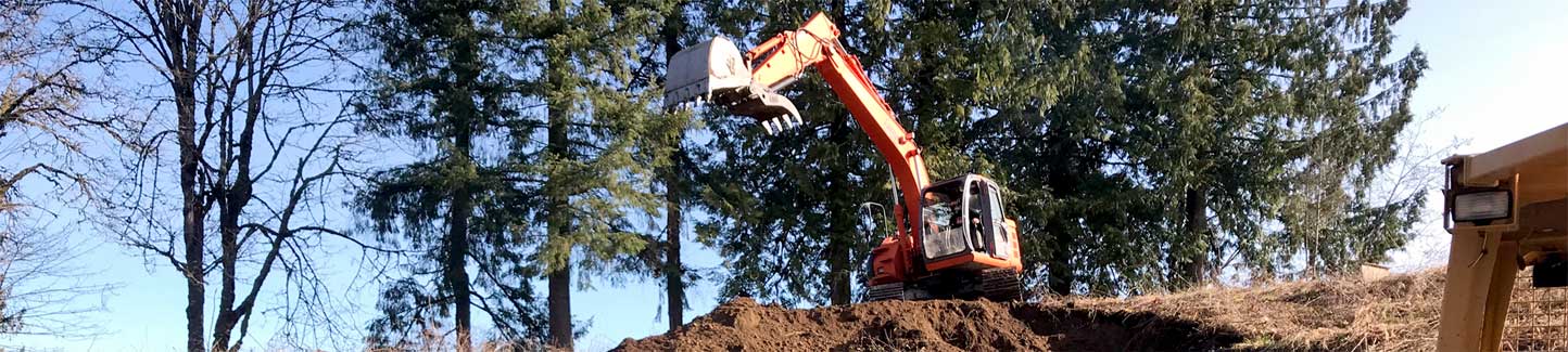 Brush Cutting/Mulching